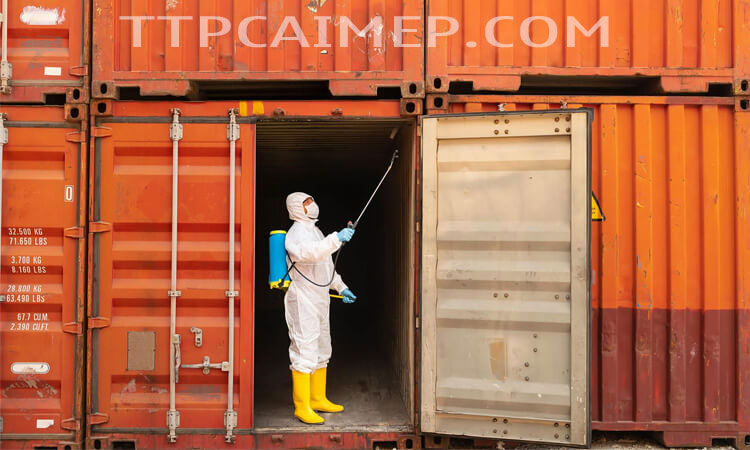 khử trùng gỗ pallet, gỗ kê chèn lót hàng hóa